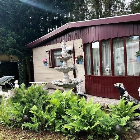 Retro Relax Resort Midden In Het Bos Op De Veluwe In 푸텐 외부 사진