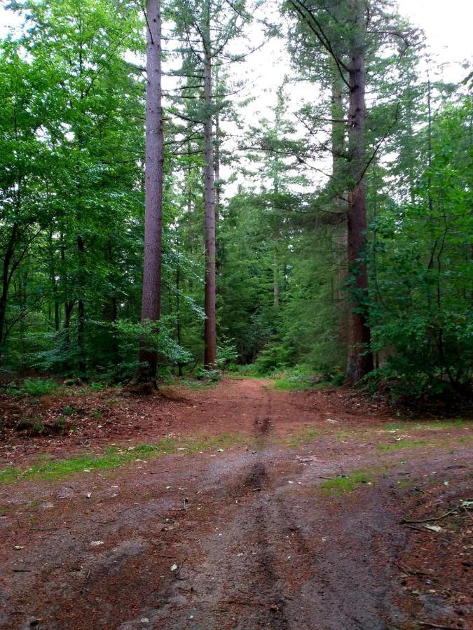 Retro Relax Resort Midden In Het Bos Op De Veluwe In 푸텐 외부 사진
